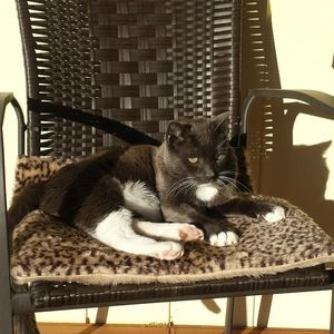 Meet your Posher, Rita